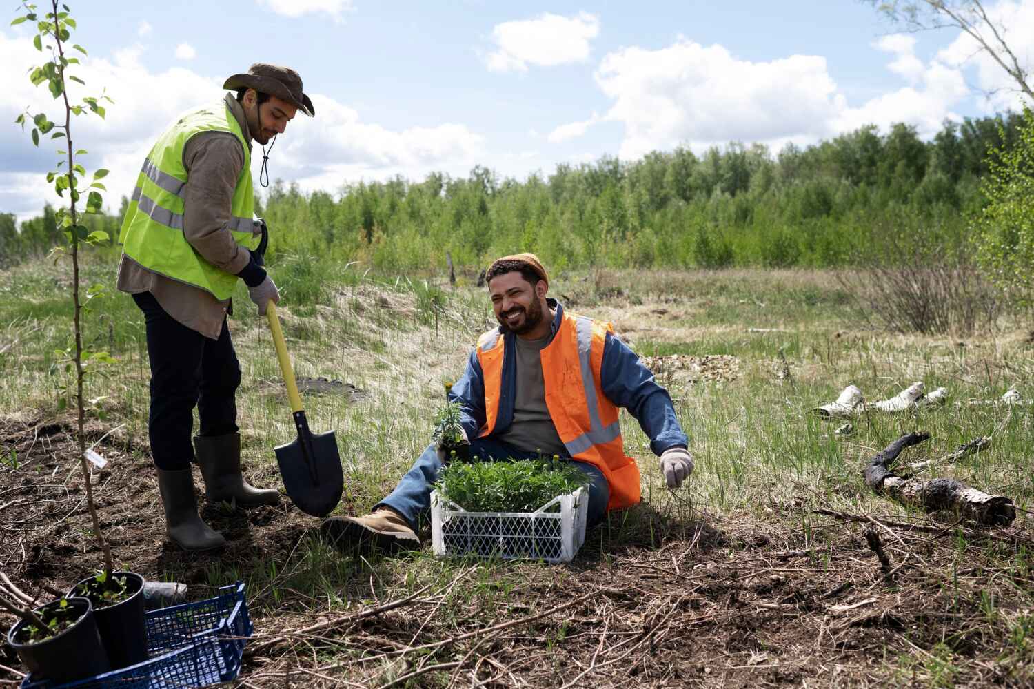 Best Tree Clearing Services  in USA